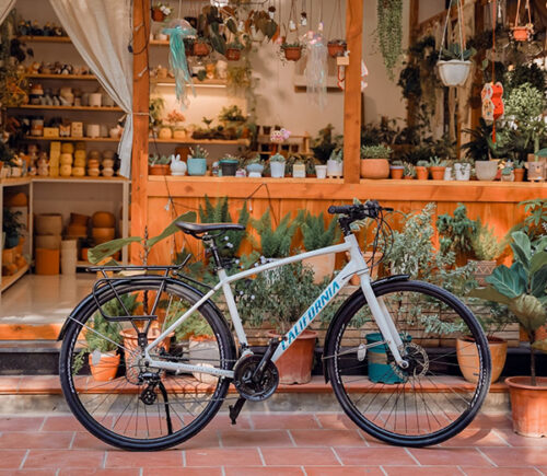 Xe đạp California của nước nào