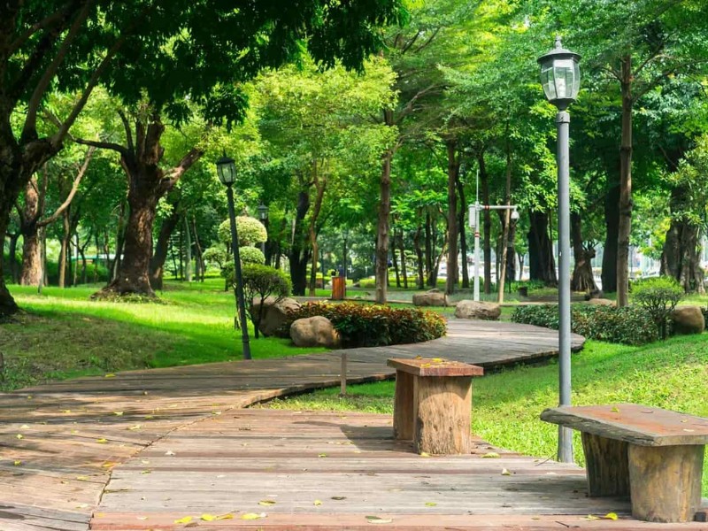 cong-vien-gia-dinh-phu-hop-cho-nhung-ai-yeu-khong-gian-xanh