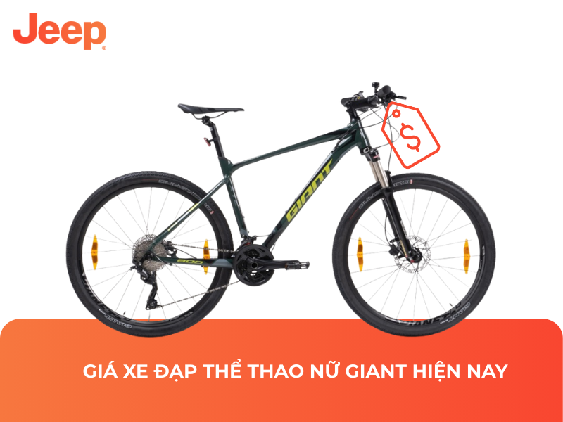 Giá xe đạp thể thao nữ Giant hiện nay