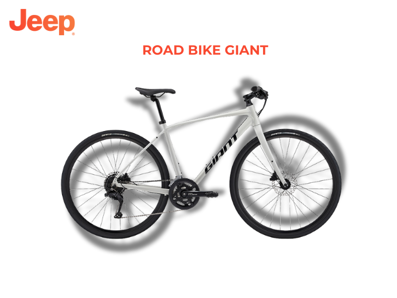 Giant Road Bike