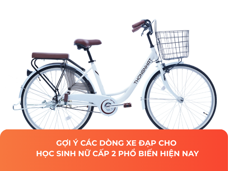 Gợi Ý Các Dòng Xe Đạp Cho Học Sinh Nữ Cấp 2 Phổ Biến Hiện Nay