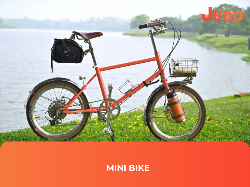 Mini Bike