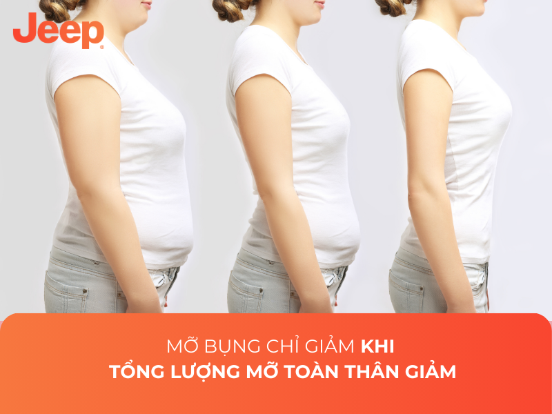 Mỡ bụng chỉ giảm khi tổng lượng mỡ toàn thân giảm