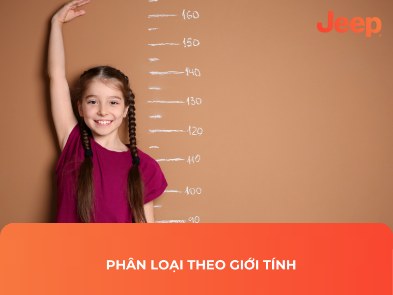 Phân loại theo độ tuổi & chiều cao