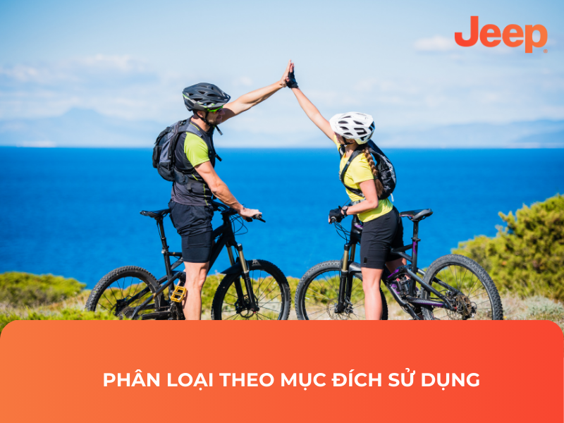 Phân loại theo mục đích sử dụng