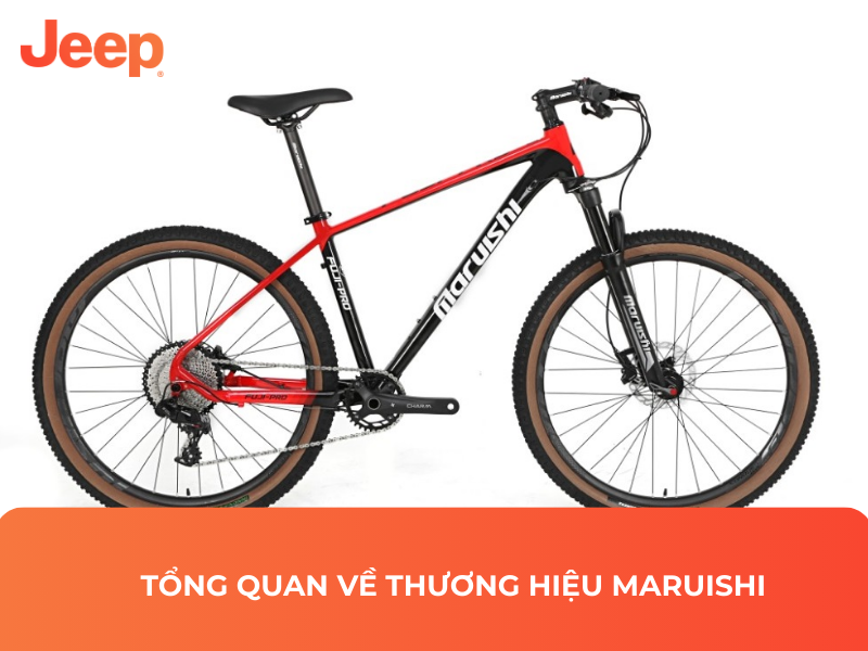 Tổng quan về thương hiệu Maruishi