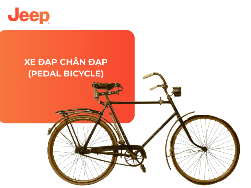 Xe Đạp Chân Đạp (Pedal Bicycle)