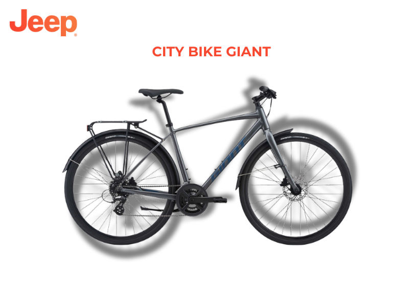 city bike giant