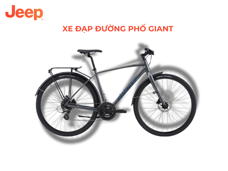 xe đạp đường phố giant